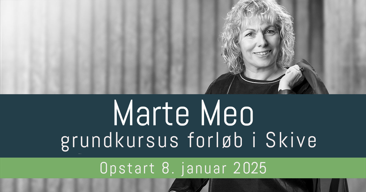 Marte Meo grundkursus