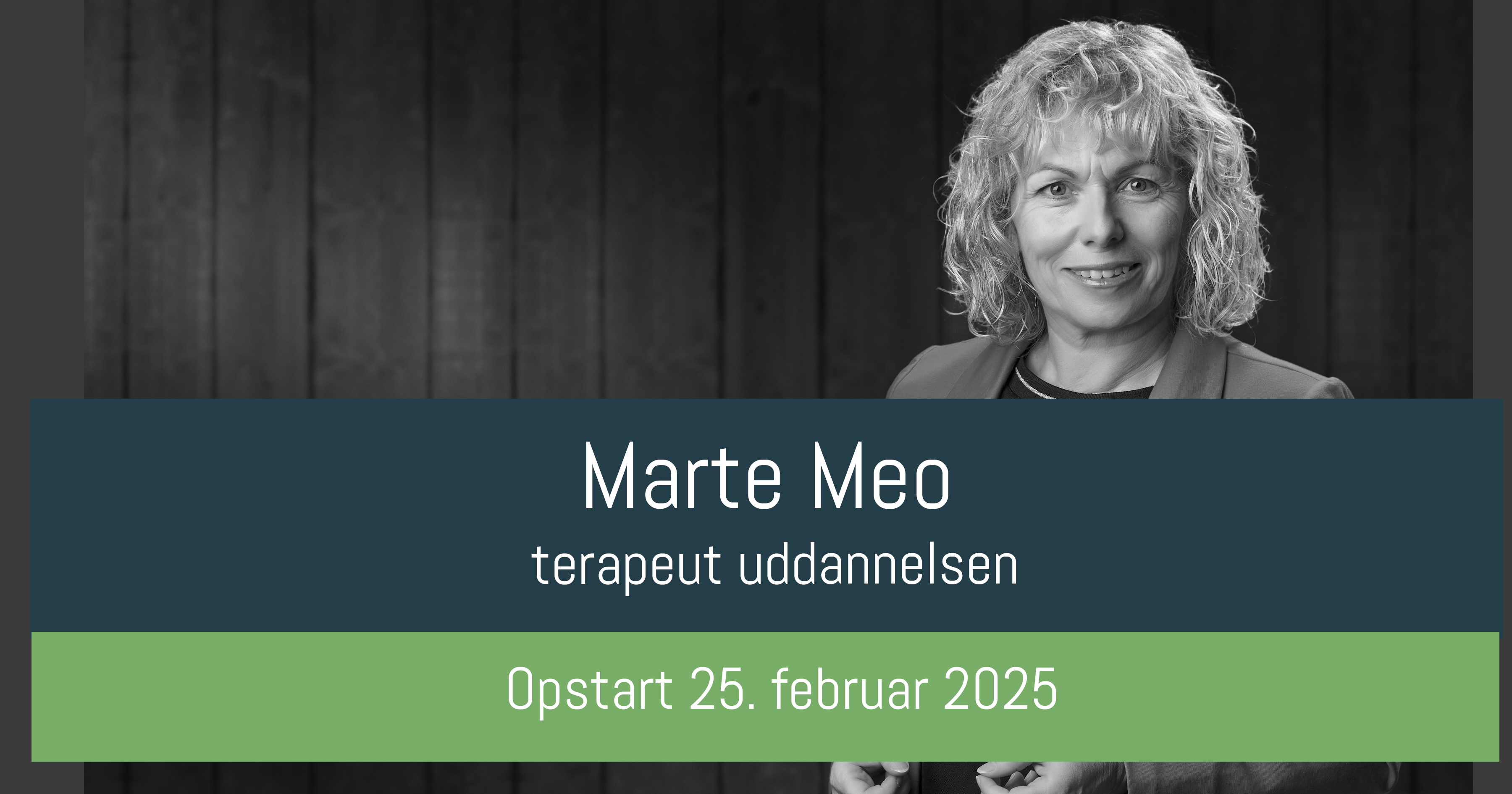 Marte Meo terapeut uddannelse